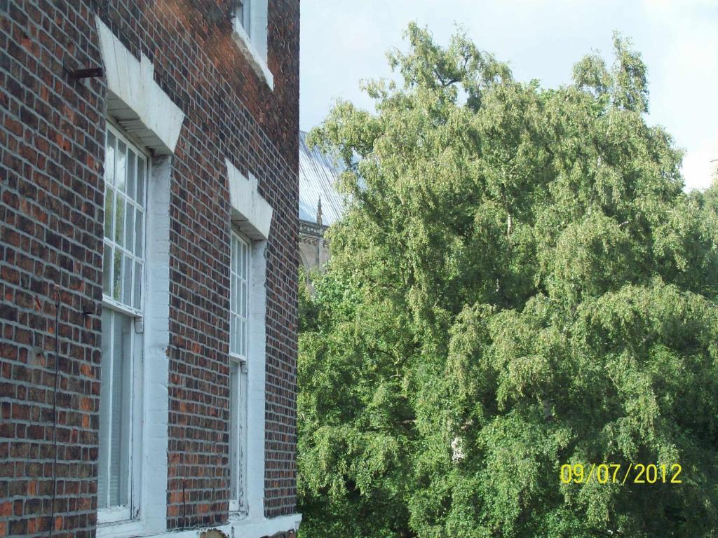 Minster Garth Guest House Beverley Szoba fotó